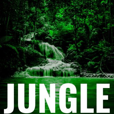 JUNGLE's cover