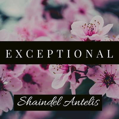 Shaindel Antelis's cover