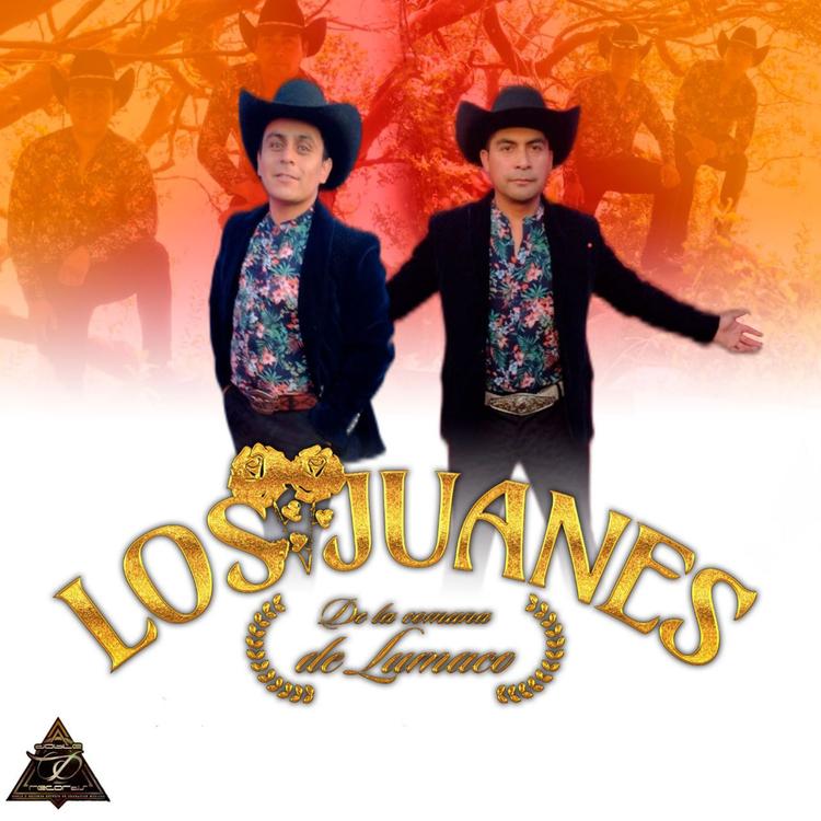 Los Juanes De La Comuna De Lumaco's avatar image