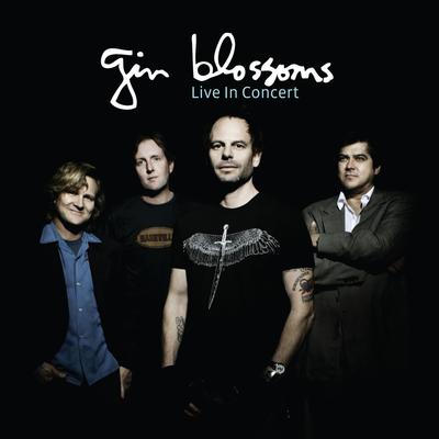 Long Time Gone By Gin Blossoms's cover