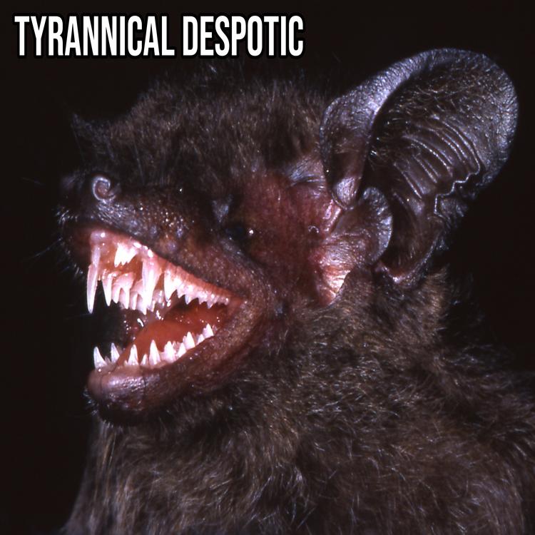 Tyrannical despotic's avatar image