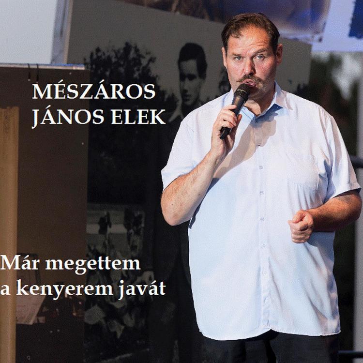Mészáros János Elek's avatar image
