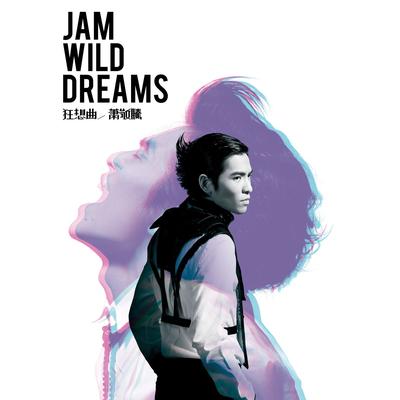 Jam Wild Dreams's cover