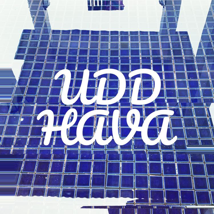 UDD's avatar image