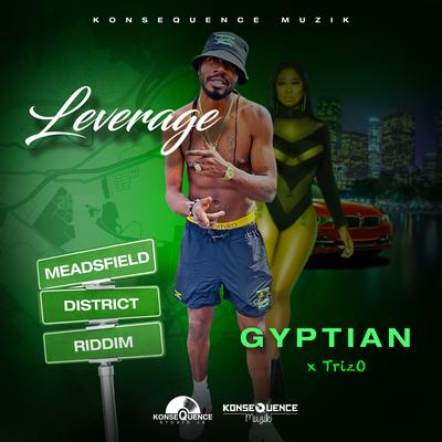 Leverage's cover