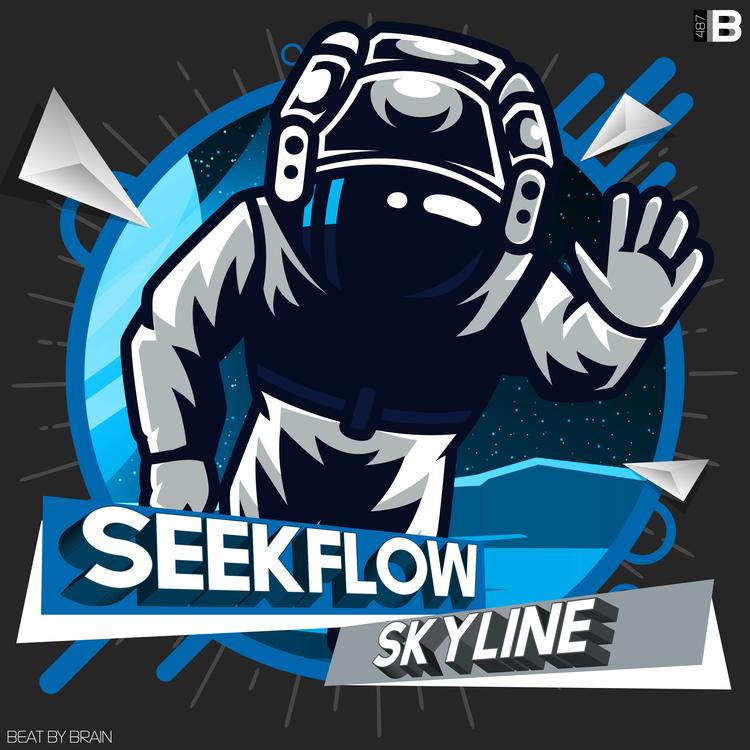 Seekflow's avatar image