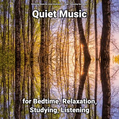 Quiet Music for Bedtime, Relaxation, Studying, Listening's cover