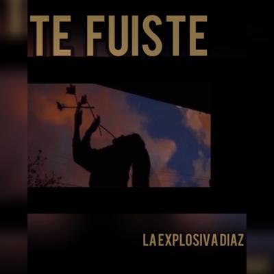 La explosiva's cover