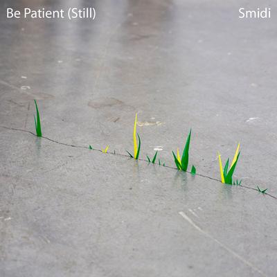 Be Patient (Still) By Smidi's cover