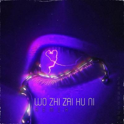 Wo Zhi Zai Hu Ni (Remix)'s cover