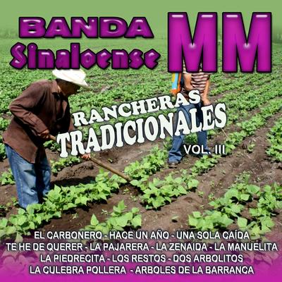 Rancheras Tradicionales, Vol. 3's cover
