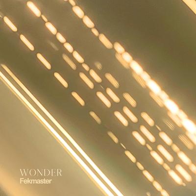 Wonder By Fekmaster's cover