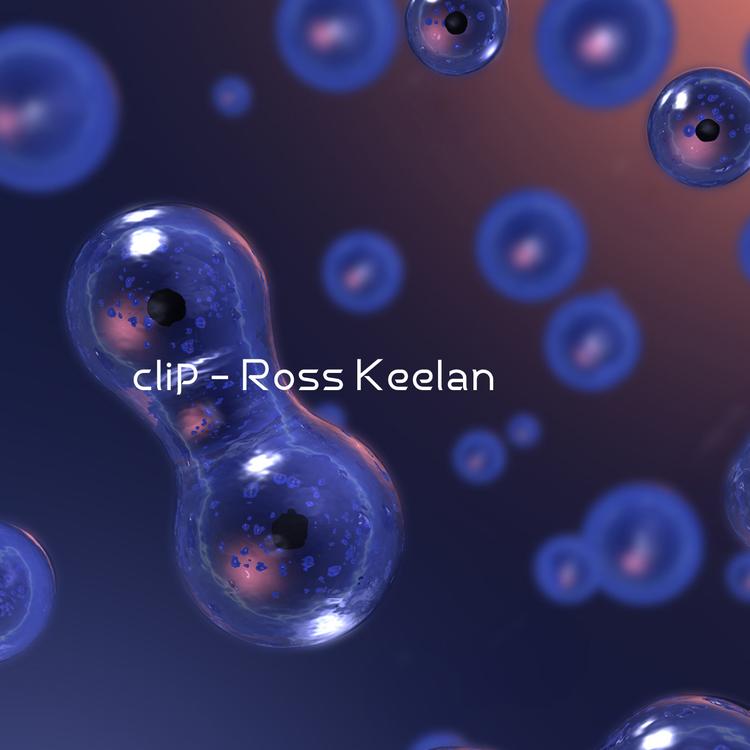 Ross Keelan's avatar image