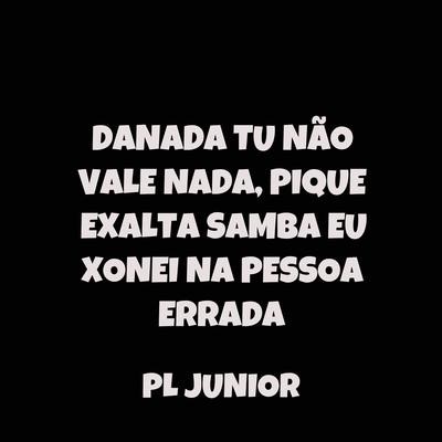 Danada Tu Não Vale Nada, Pique Exalta Samba Eu Xonei Na Pessoa Errada By PL JUNIOR's cover