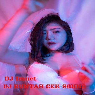 DJ RUNTAH CEK SOUND (feat. Mega)'s cover