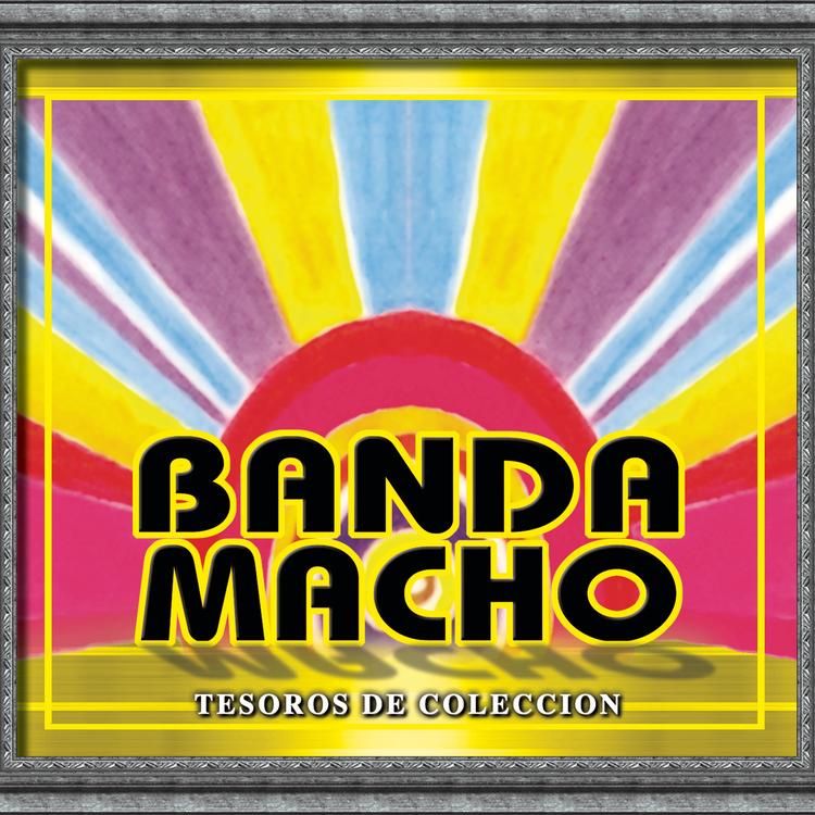 Banda Macho's avatar image