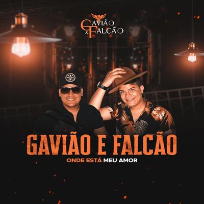 Onde Está Meu Amor By Gavião e Falcão's cover