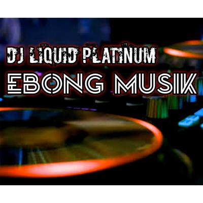 DJ Liquid Platinum's cover