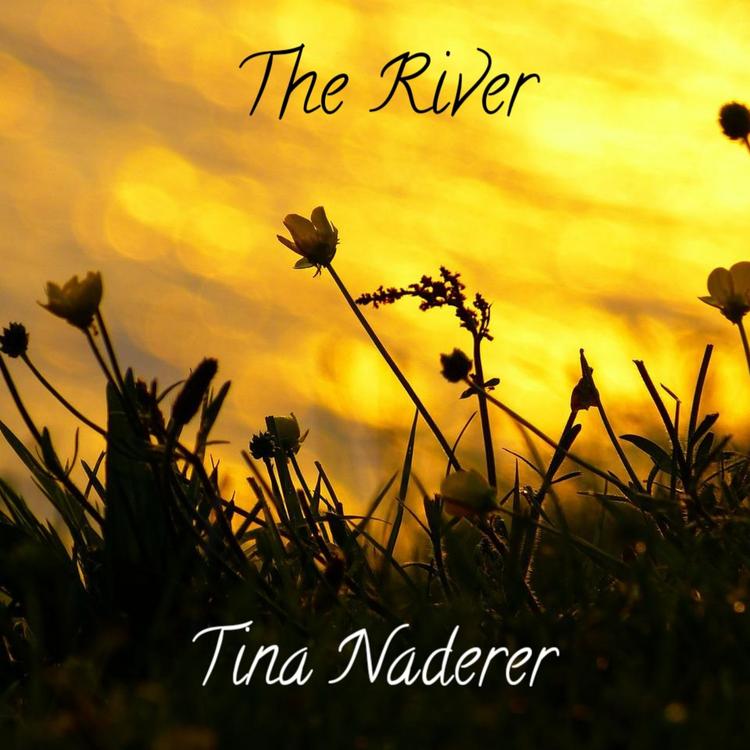 Tina Naderer's avatar image