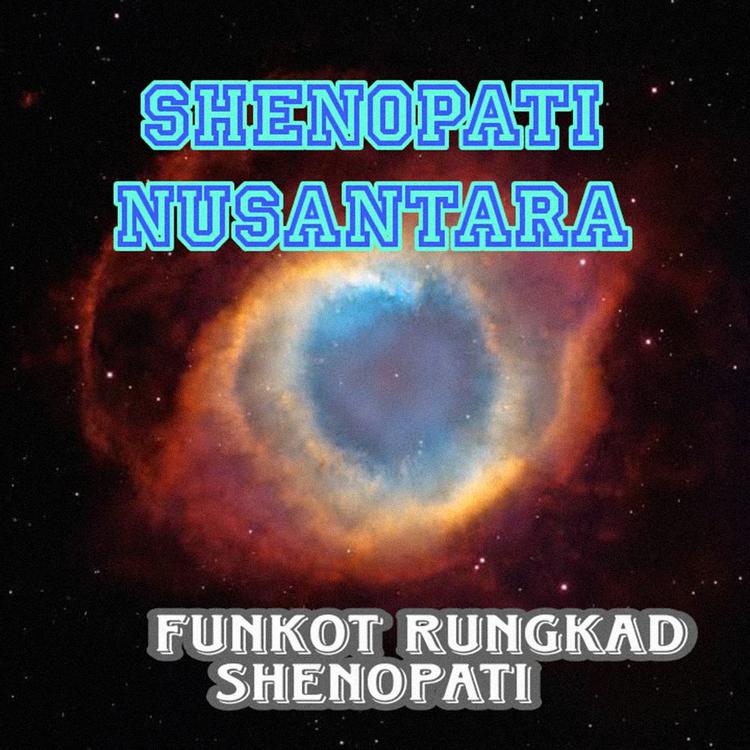 SHENOPATI NUSANTARA's avatar image