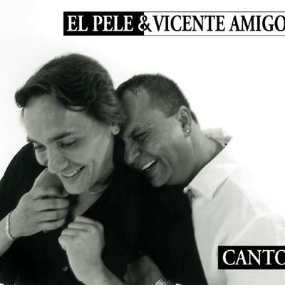 Ire Con El Viento (Tangos) By El Pele, Vicente Amigo's cover