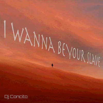 I wanna be your slave By DJ Concito's cover