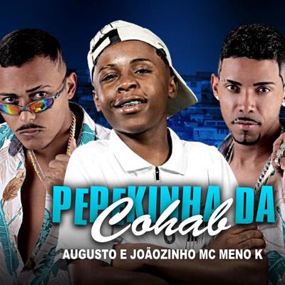 Pepekinha da Cohab (Brega Funk)'s cover