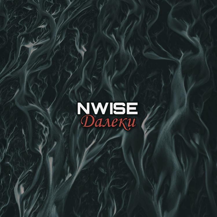 NWISE's avatar image