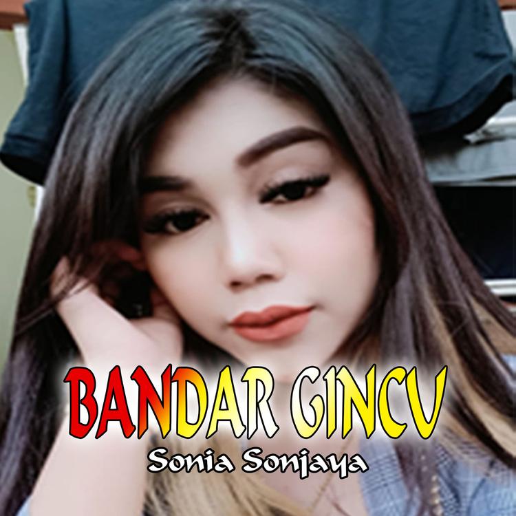 sonia sonjaya's avatar image