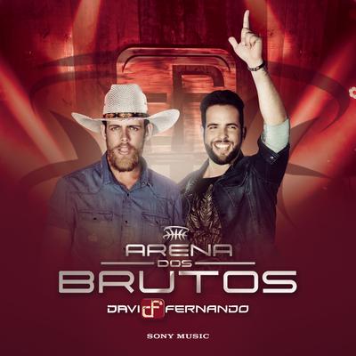 Blitz (Ao Vivo) By Davi e Fernando's cover