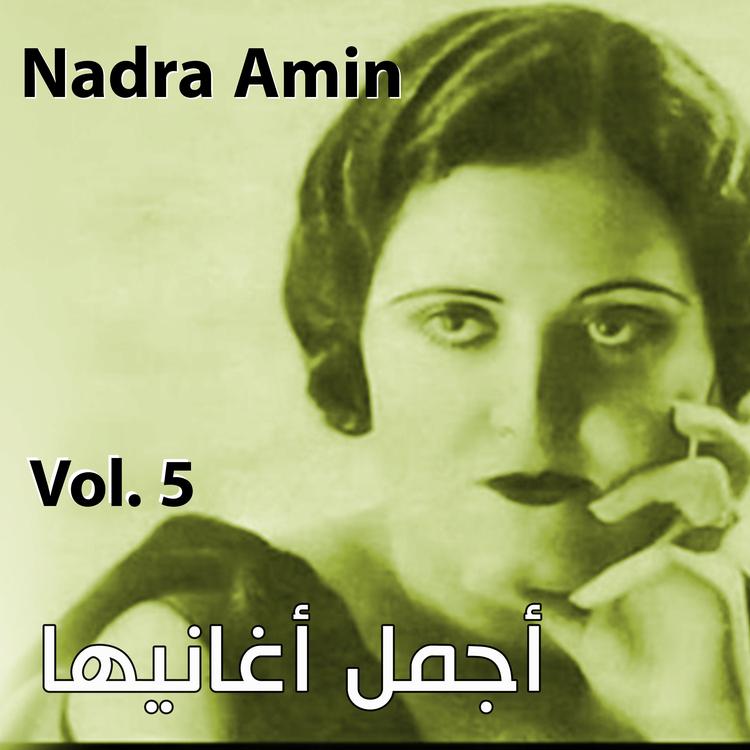 Nadra Amin's avatar image
