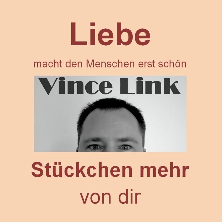 Vince Link's avatar image