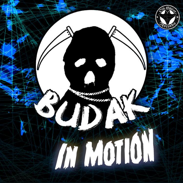 Budak's avatar image