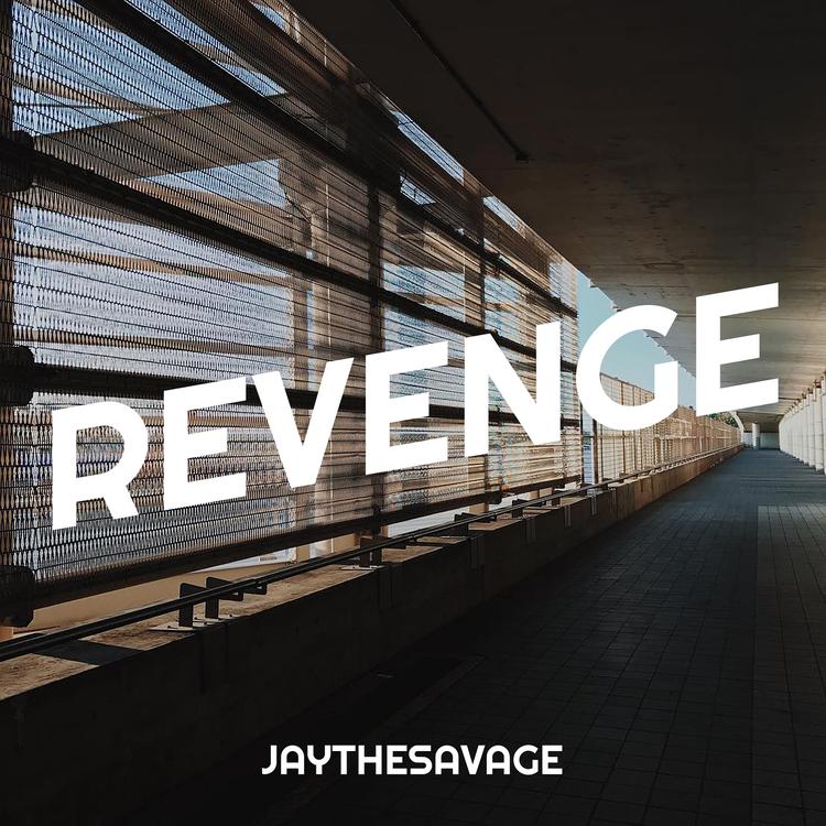 Jaythesavage's avatar image