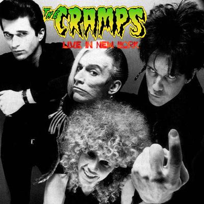 Human Fly (Live) By The Cramps's cover