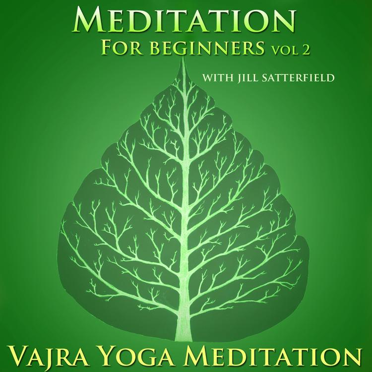 Guided Meditation with Jill Satterfield's avatar image