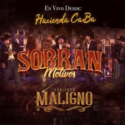 Sobran Motivos (Desde Hacienda Caba) [En Vivo]'s cover