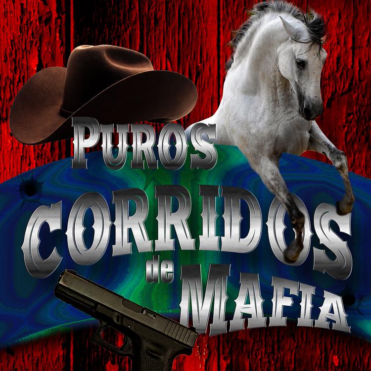 Banda Los Narcos's avatar image