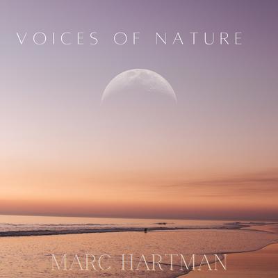 Bermuda Triangle By Marc Hartman's cover