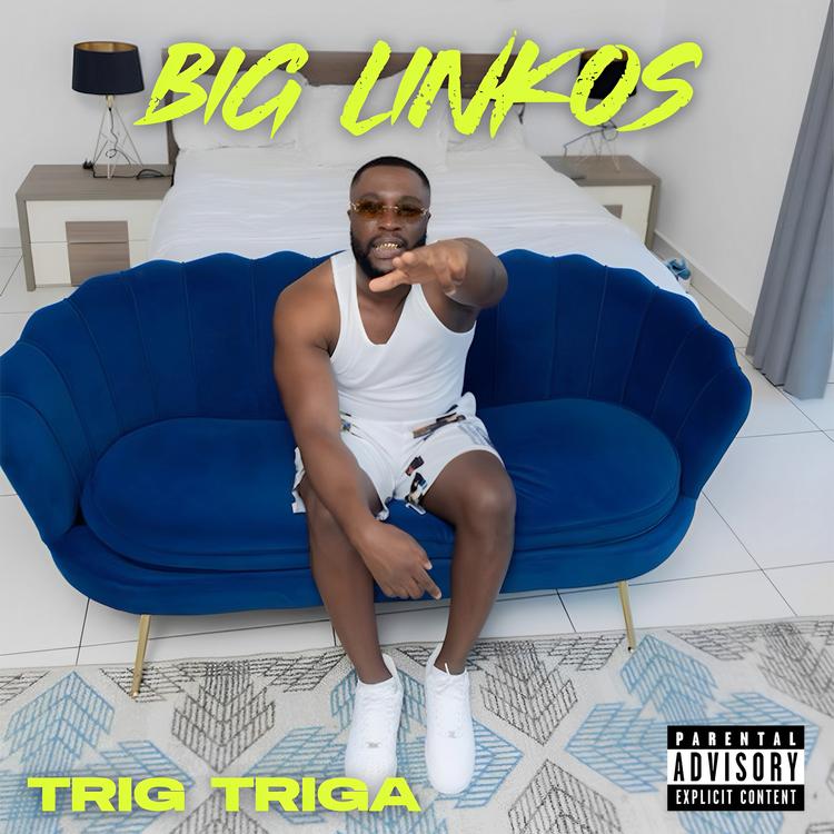 Trig Triga's avatar image