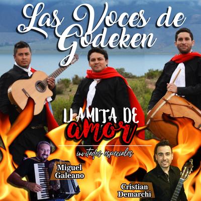 Las voces de Godeken's cover