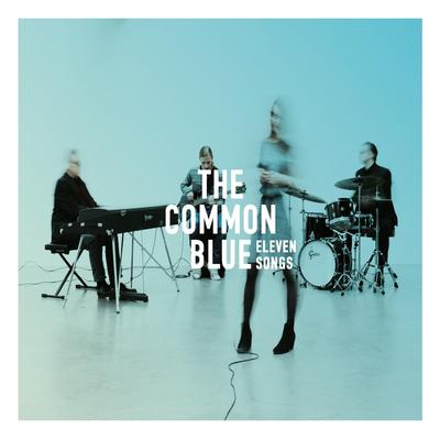 Why'd You Only Call Me When You're High? By The Common Blue's cover