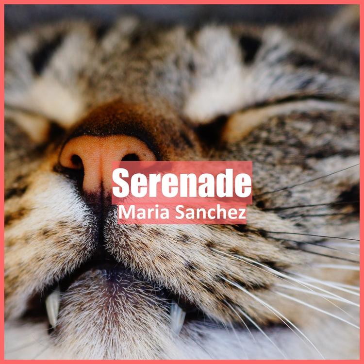 María Sánchez's avatar image