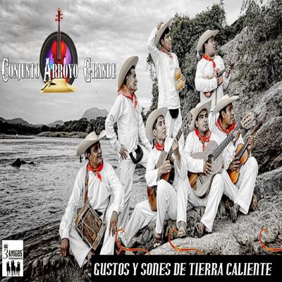 CONJUNTO ARROYO GRANDE's cover