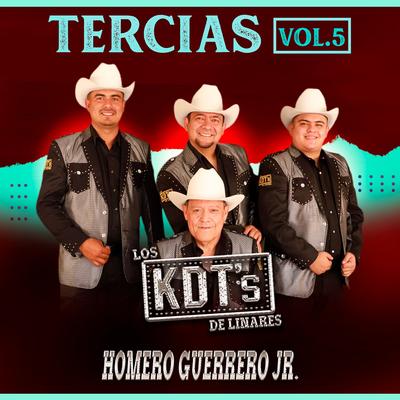 Homero Guerrero Jr. y Los KDT's de Linares's cover