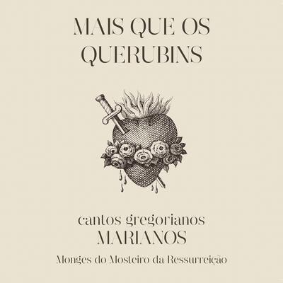 Salve, Ó Mãe By Abadia da Ressurreição, Fafá de Belém, Padre Fábio De Melo, Padre Reginaldo Manzotti's cover