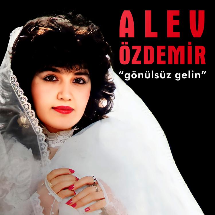 Alev Özdemir's avatar image