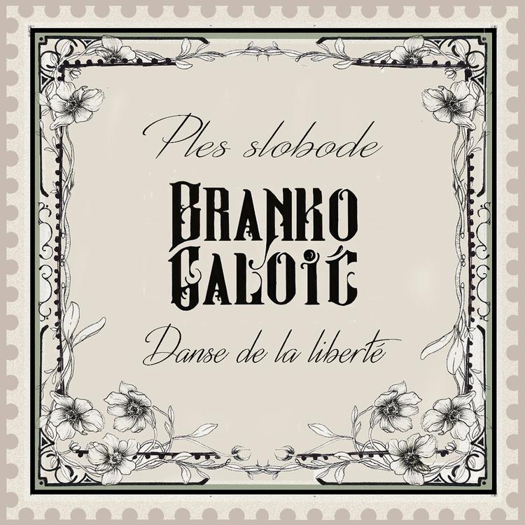 Branko Galoic's avatar image