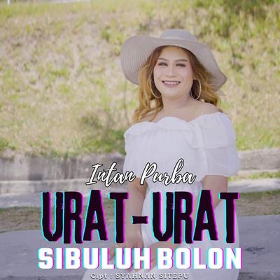 Urat-Urat Sibuluh Bolon's cover