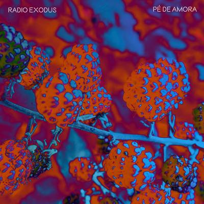 Radio Exodus's cover